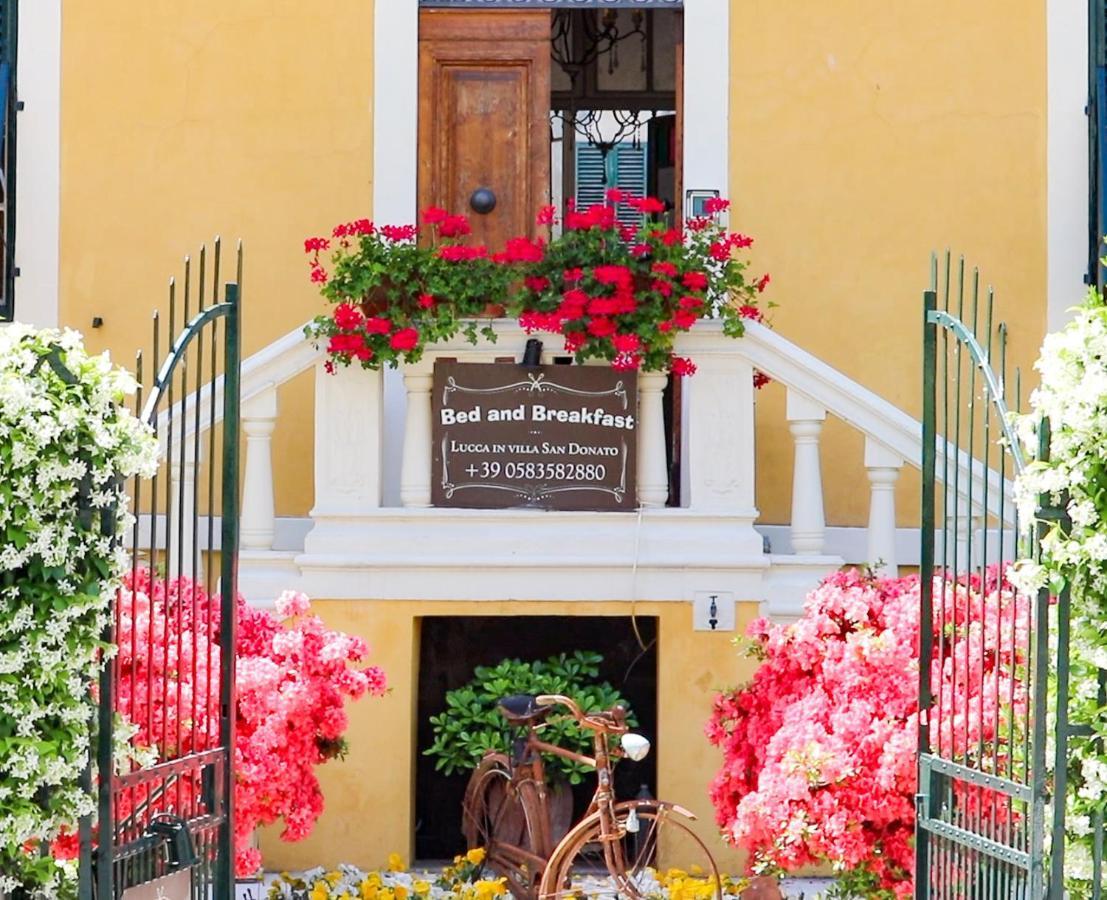 Villa San Donato B&B 루카 외부 사진